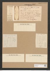Homoeocladia filiformis W. Sm. (de-Toni-Nr.: Genus 48, Species 2104) Zeichnungen Sammlung Grunow Nr. 4582 (NHMW-BOT-W0372592)